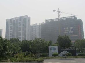 搶租南沙城好房 超低價(jià)機(jī)會(huì)，先到先得，可注冊(cè)公司